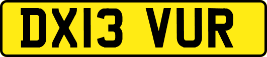 DX13VUR