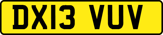 DX13VUV