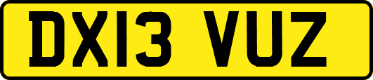 DX13VUZ