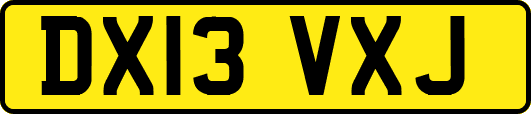 DX13VXJ