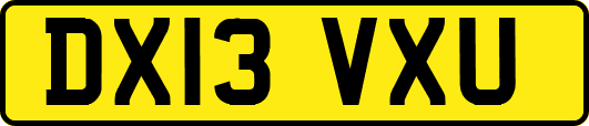 DX13VXU