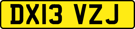 DX13VZJ