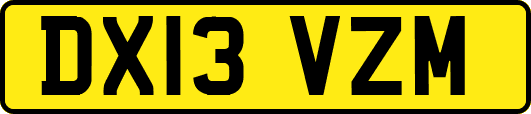 DX13VZM