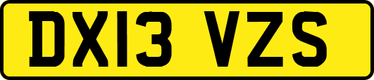 DX13VZS