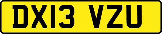 DX13VZU