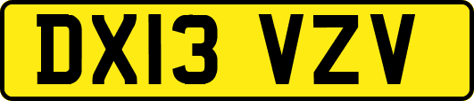 DX13VZV