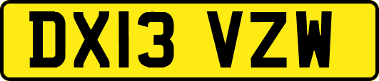 DX13VZW