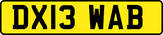 DX13WAB