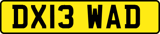 DX13WAD