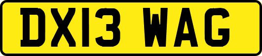 DX13WAG