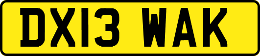 DX13WAK