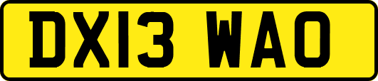 DX13WAO
