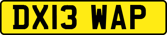 DX13WAP