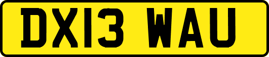 DX13WAU