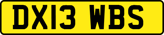 DX13WBS