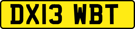 DX13WBT