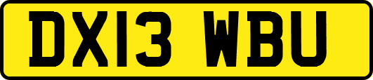 DX13WBU