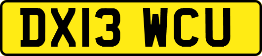 DX13WCU