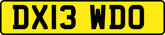 DX13WDO
