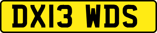 DX13WDS