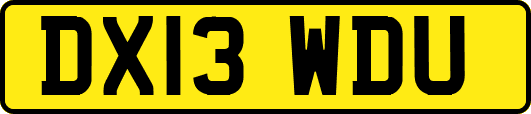 DX13WDU