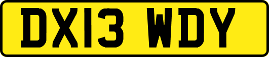 DX13WDY