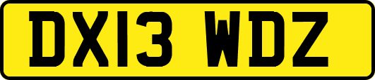 DX13WDZ