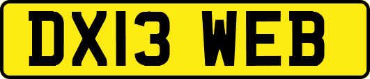 DX13WEB