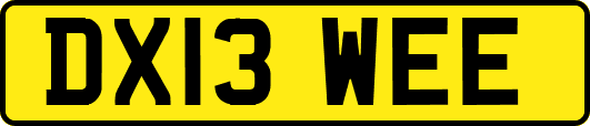 DX13WEE