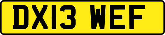 DX13WEF