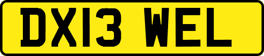 DX13WEL