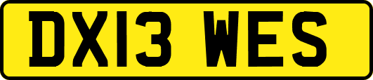 DX13WES