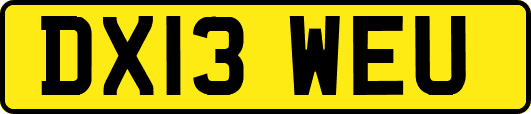 DX13WEU