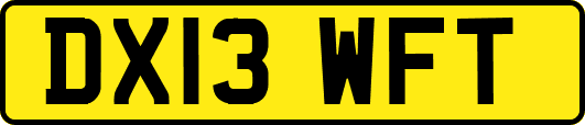 DX13WFT