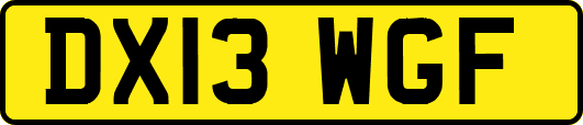 DX13WGF