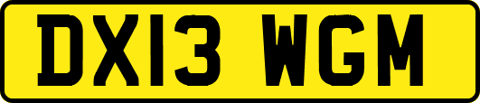 DX13WGM