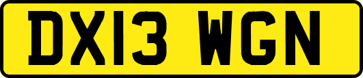 DX13WGN