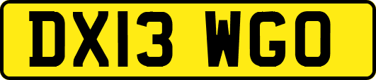 DX13WGO