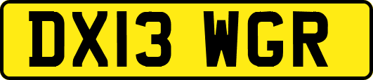 DX13WGR
