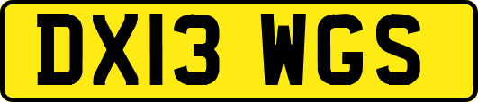 DX13WGS