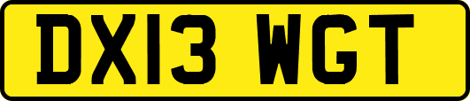 DX13WGT