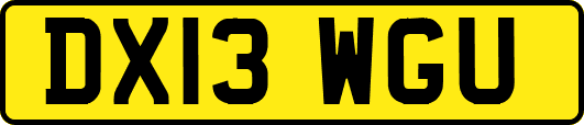 DX13WGU