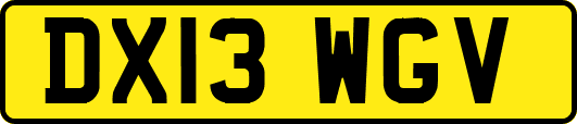 DX13WGV