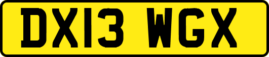 DX13WGX