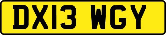 DX13WGY