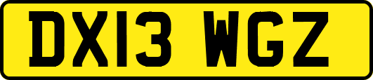DX13WGZ