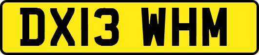 DX13WHM