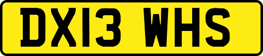 DX13WHS