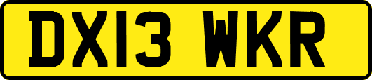DX13WKR