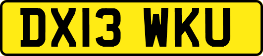 DX13WKU